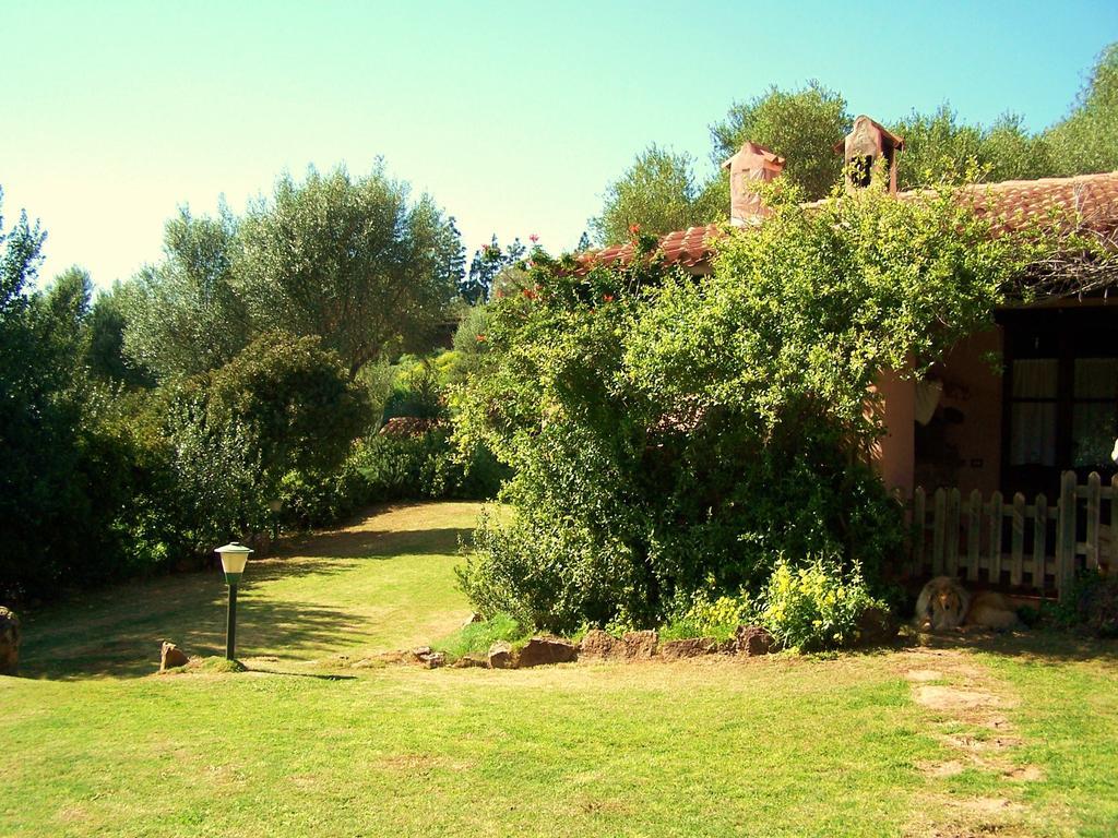 Apartment Nurazzolas