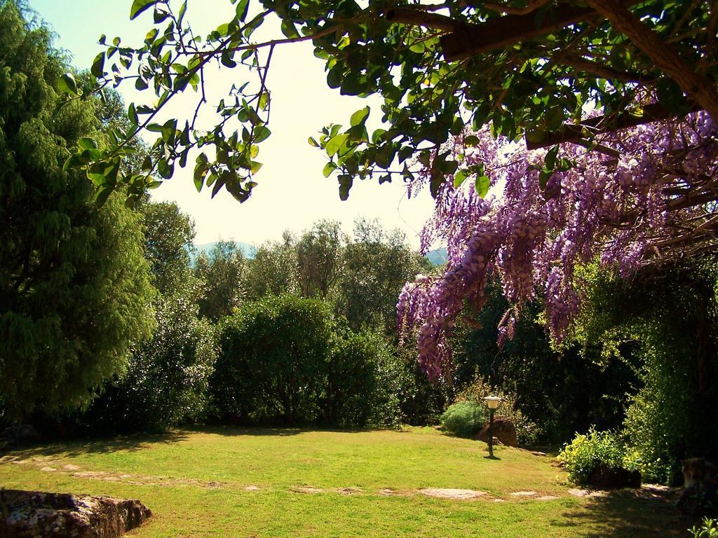 Appartement Nurazzolas